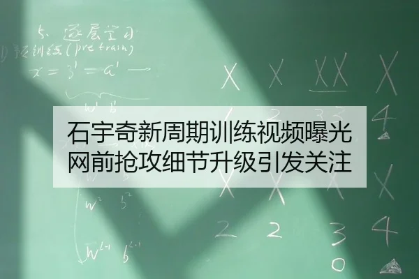 石宇奇新周期训练视频曝光 网前抢攻细节升级引发关注